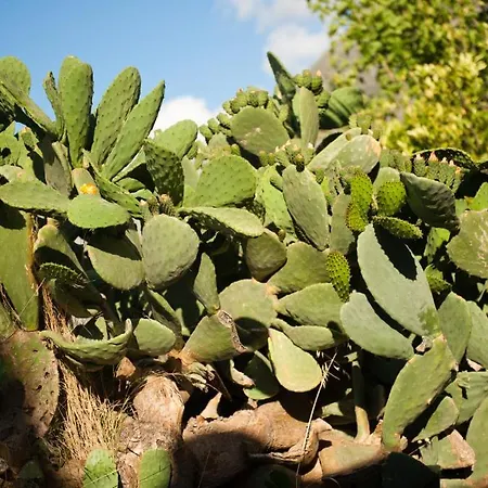 Hotel apartamentowy Arapakis Historic Castle 4*