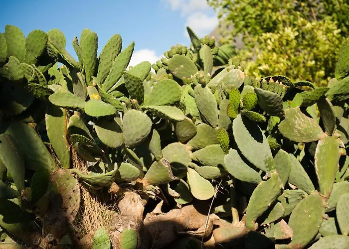 Appart hôtel Arapakis Historic Castle 4*